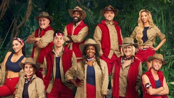 Who is the jesters voice in im a celebrity?
