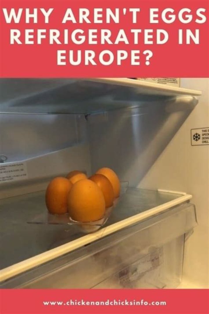 Why are eggs not refrigerated in europe?