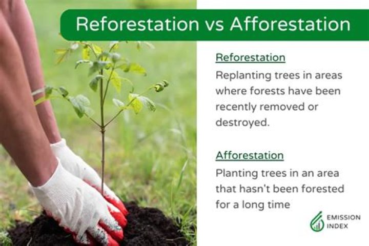 Why are the advantages of reforestation?