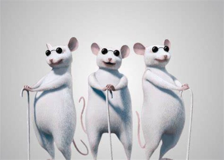 Why are the three blind mice blind?