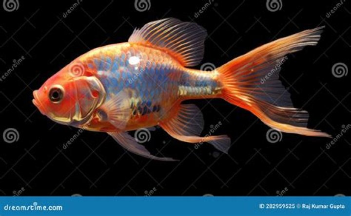 Why do cold-blooded fish?