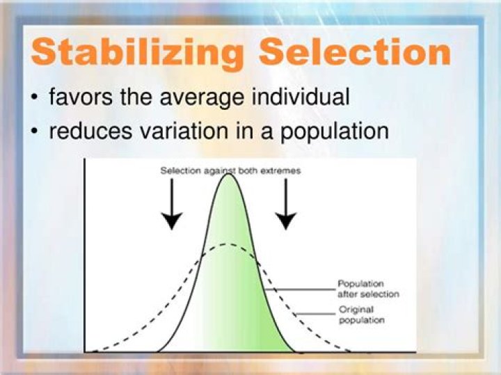 Why does stabilizing selection occur?