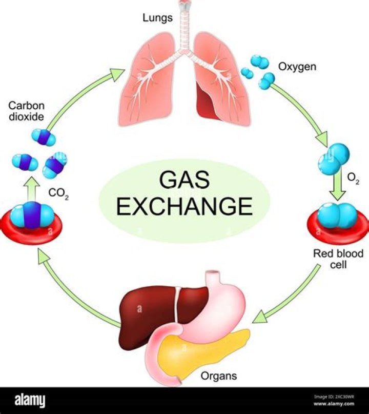 Why gas slippage occurs?