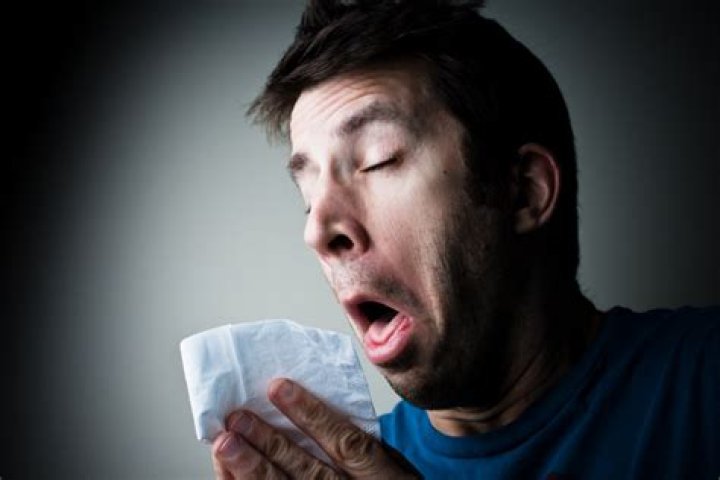 Why i'm sneezing a lot?