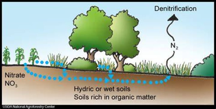 Why is denitrification bad for farmers?