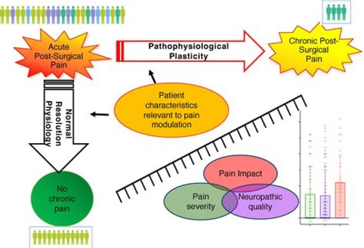 Why is emphasis given to postsurgical protein sources?