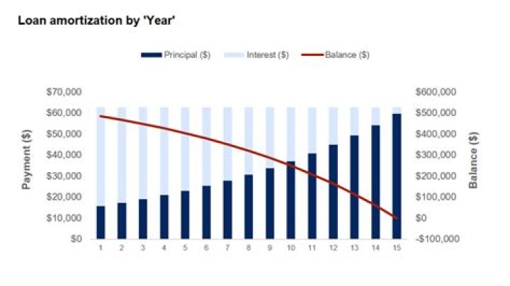 Why is repayment of loan a capital expenditure?