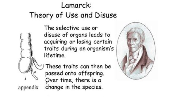 Why lamarck's theory of evolution was discredited?
