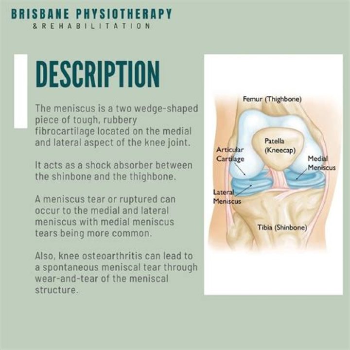 Why meniscus tear hurt?