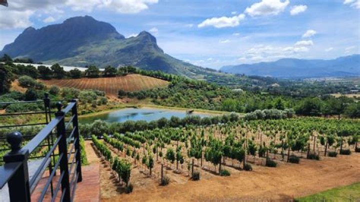 Will estate south africa?