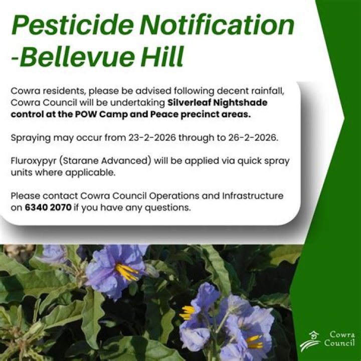 Will roundup kill silverleaf nightshade?
