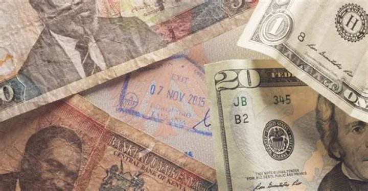 Will usd go up?